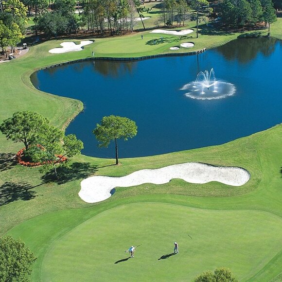 Nike Golf Mens Polo Shirt Black Short Sleeves Innisbrook Logo Embroidered Size L - Picture 14 of 14